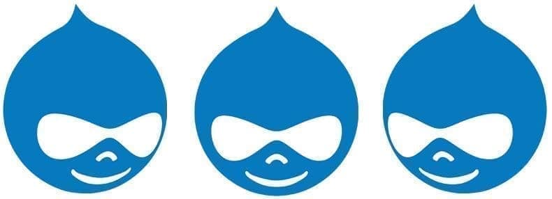 drupal CMS de desarrollo de proyectos web